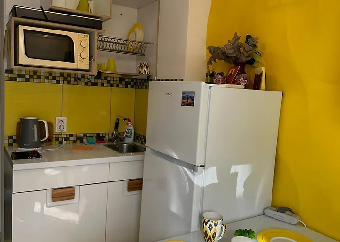 דירה шпитальна 30